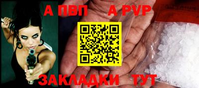 кокс Кингисепп