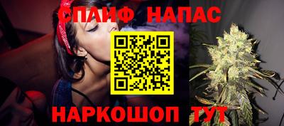 кокс Кингисепп