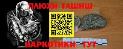 кокс Кингисепп